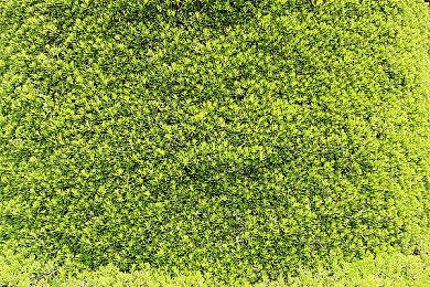 T2 Q1财报：亏损1亿美元 那个游戏5销量1.7亿套