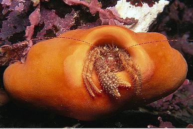 VR2《最后的迷宫》今日登陆PS5 XBox与Switch版春季上线