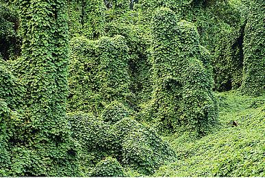 罗技广告出现白色款Xbox Series X主机